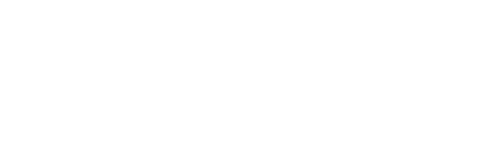 Holding Leones | Seguridad & Confianza